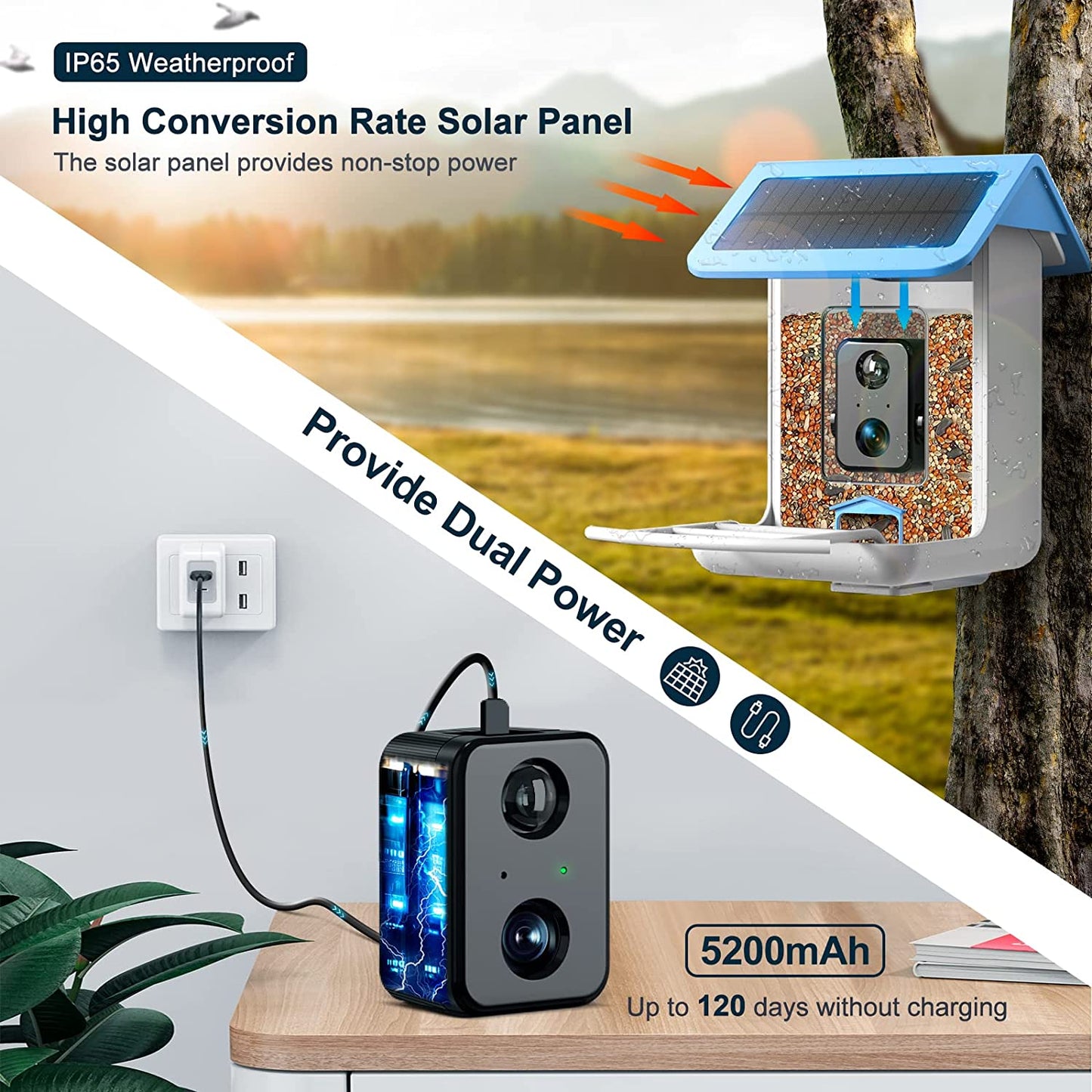 Smart Bird Feeder Camera - 1080P HD Camera Auto Capture Bird Videos & Solar Panel