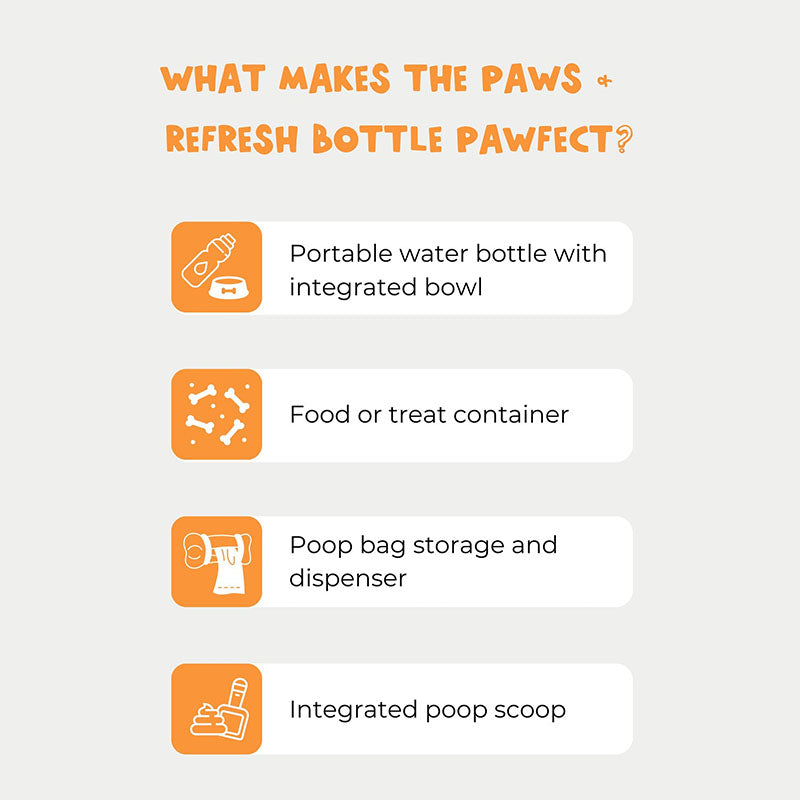 3-in-1 Pet Flask