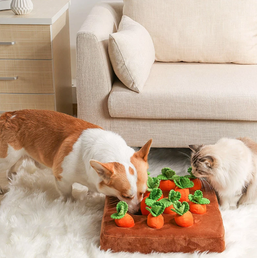 Carrot Farm Toys for Pet