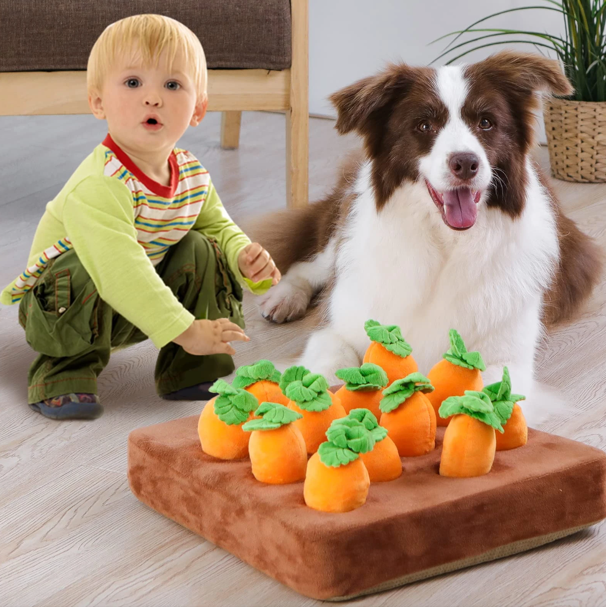 Carrot Farm Toys for Pet