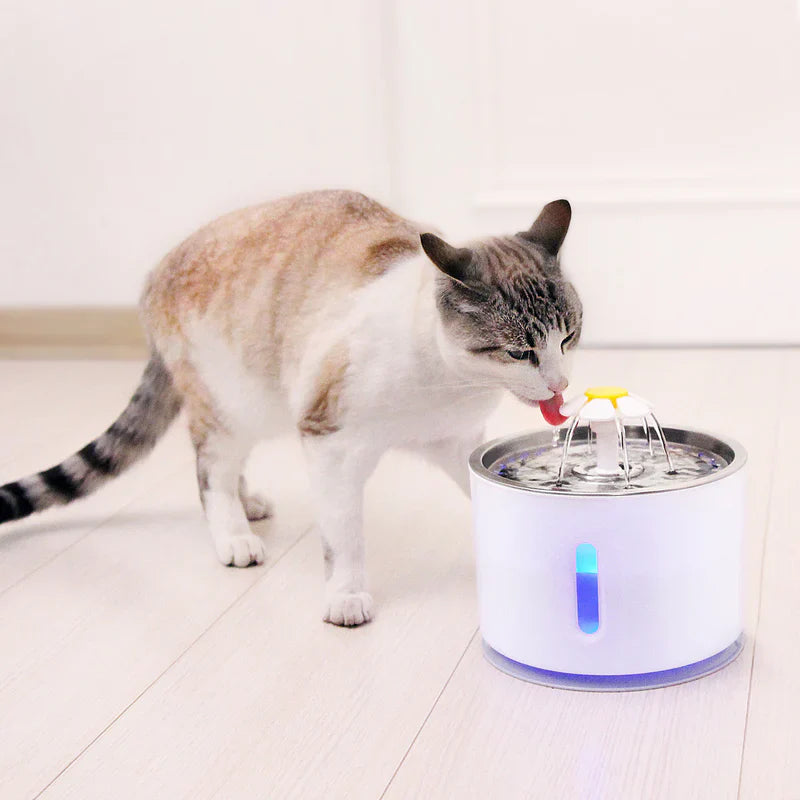 Automatic Cat & Dog Stainless Water Bowl Fountain