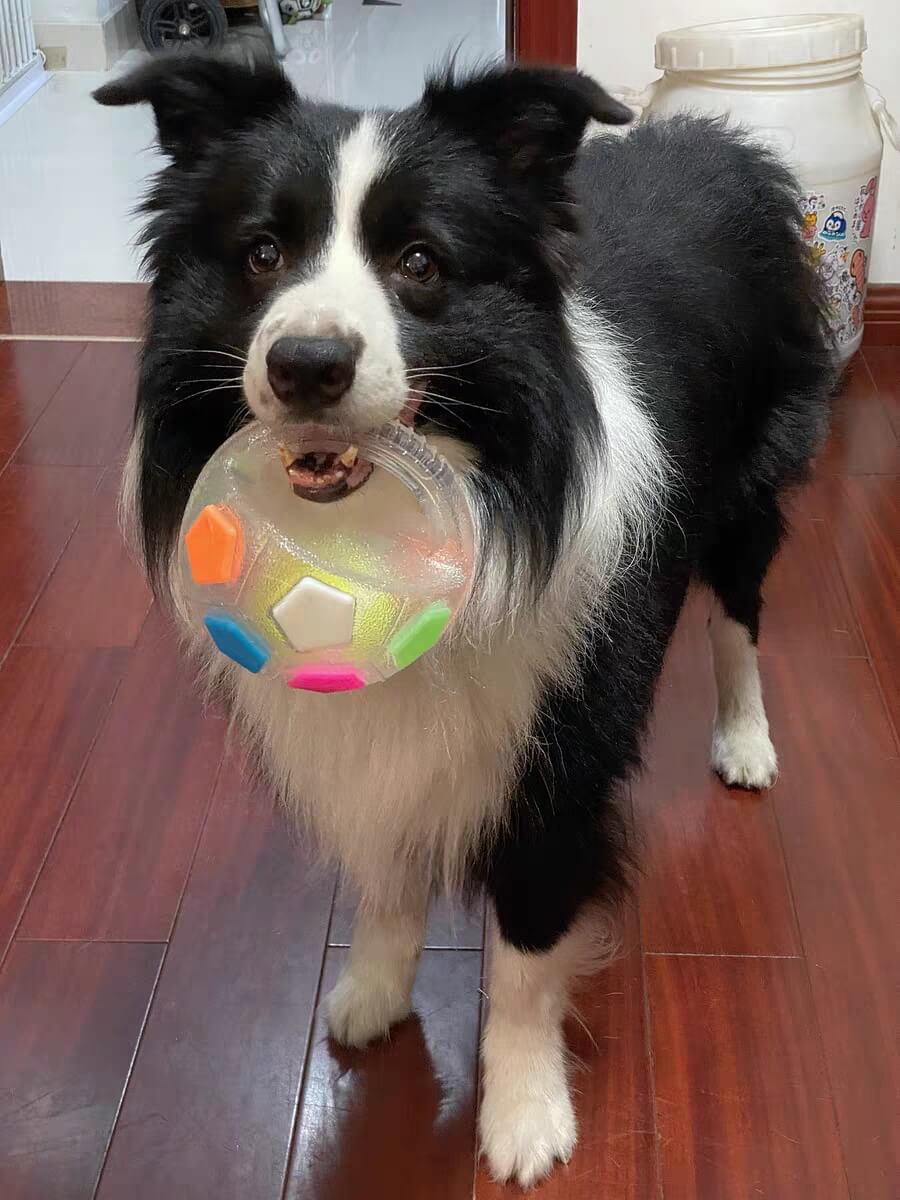 PawKick™ Durable Soccer Toy – Bouncy, Bite-Resistant & Fun