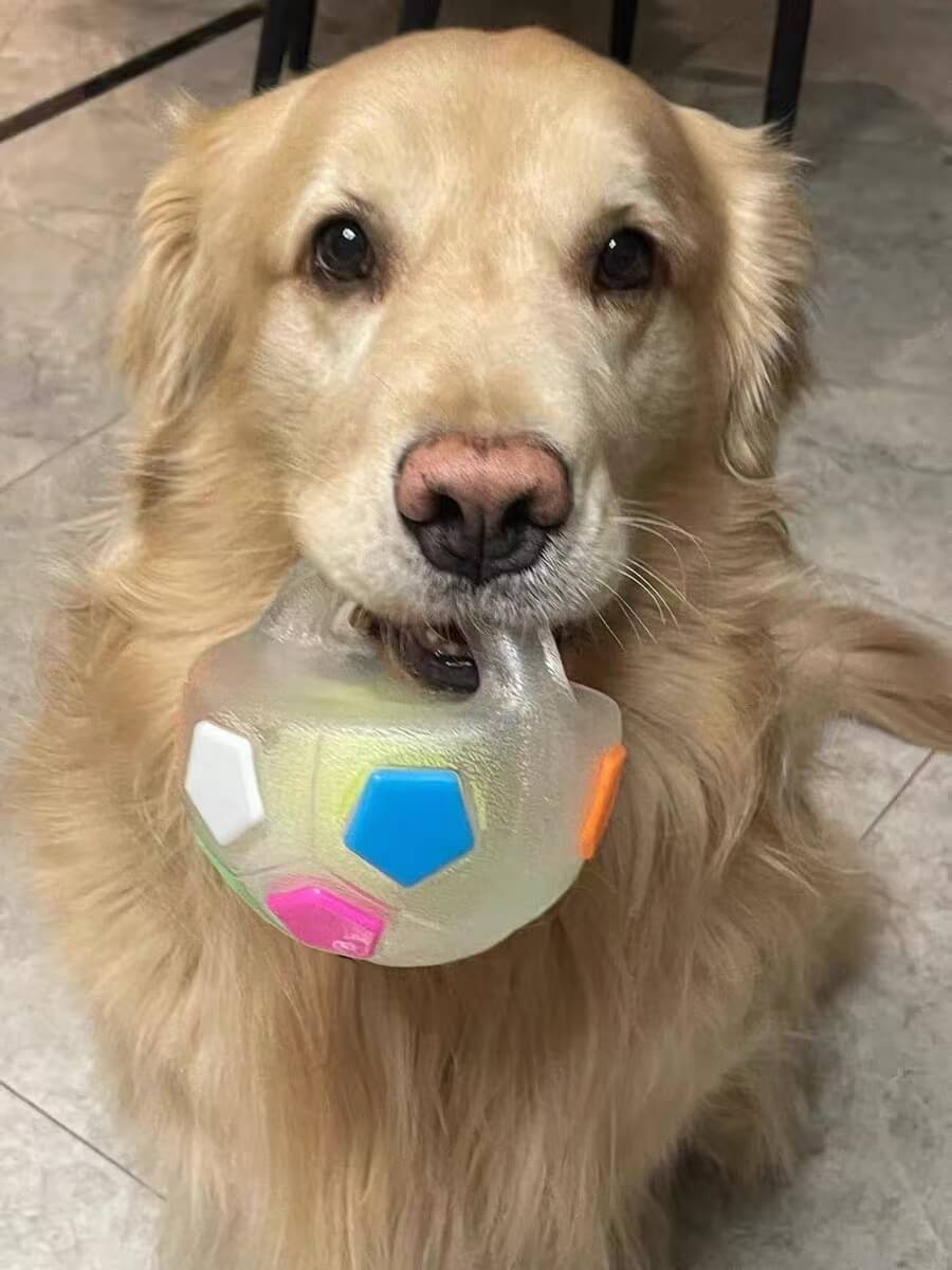 PawKick™ Durable Soccer Toy – Bouncy, Bite-Resistant & Fun