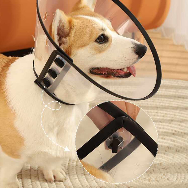 Dog Plastic E-Collar