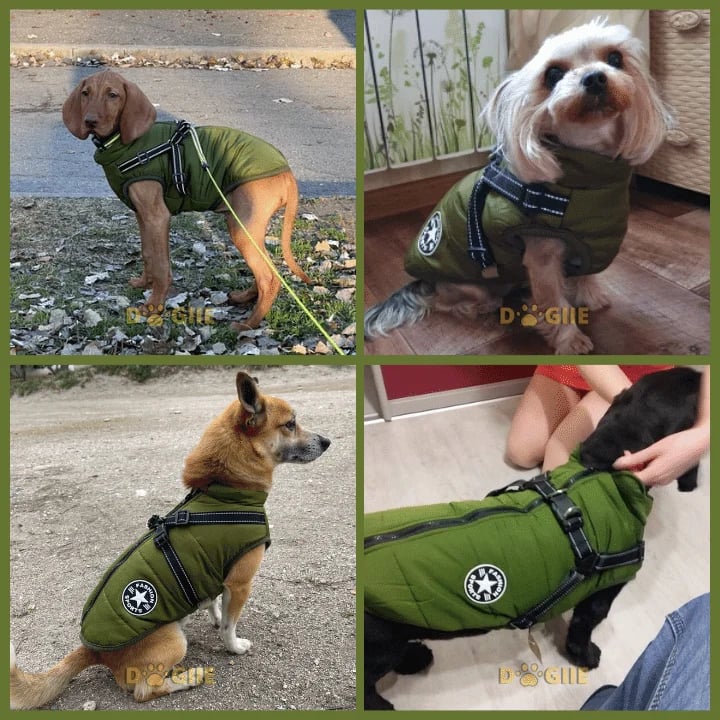 🔥 Waterproof Furry Jacket for Dogs of All Sizes