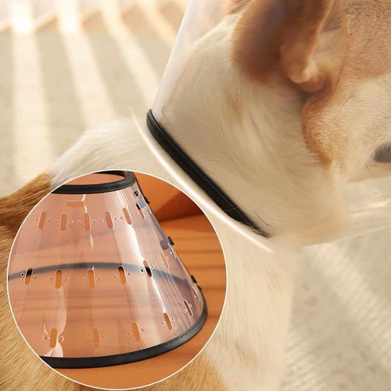 Dog Plastic E-Collar