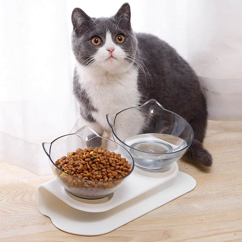 Orthopedic Anti-Vomiting Cat Feeder