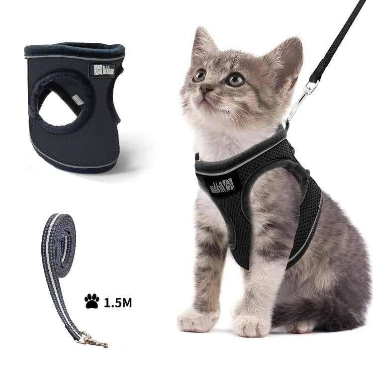 Reflective Vest and Leash