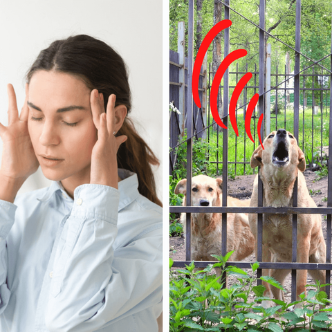 Anti Barking Device | Bark Control Device - Stop Your Neighbors Dog from Barking