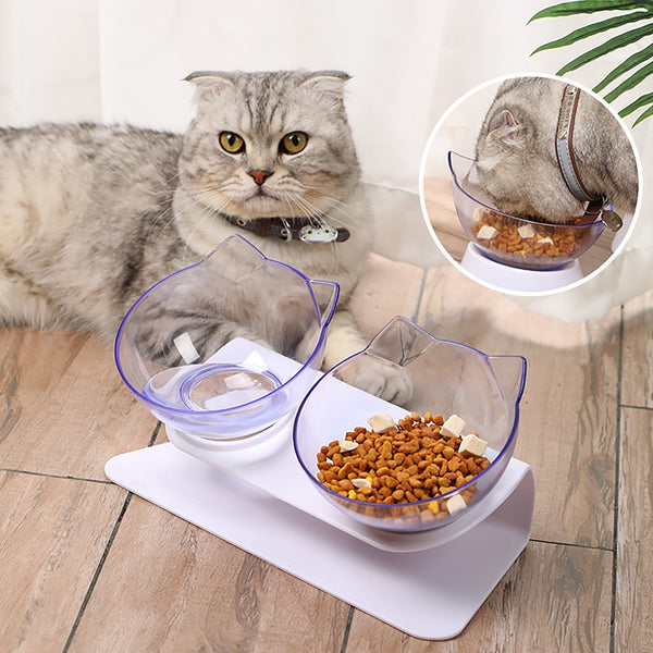 Orthopedic Anti-Vomiting Cat Feeder