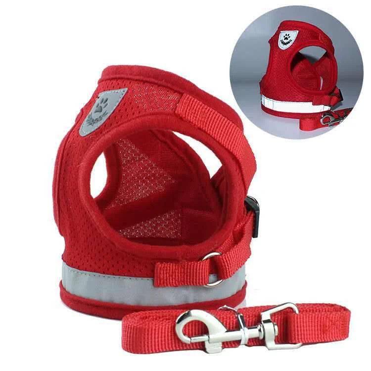 Reflective Vest and Leash