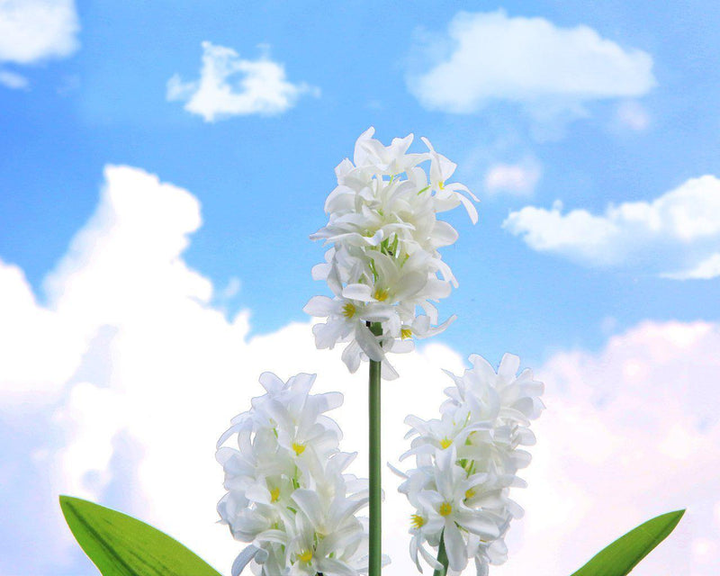 Solar Powered Hyacinth Flower Light