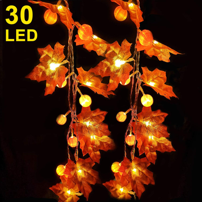 Pumpkin Maple Leaf String Lights