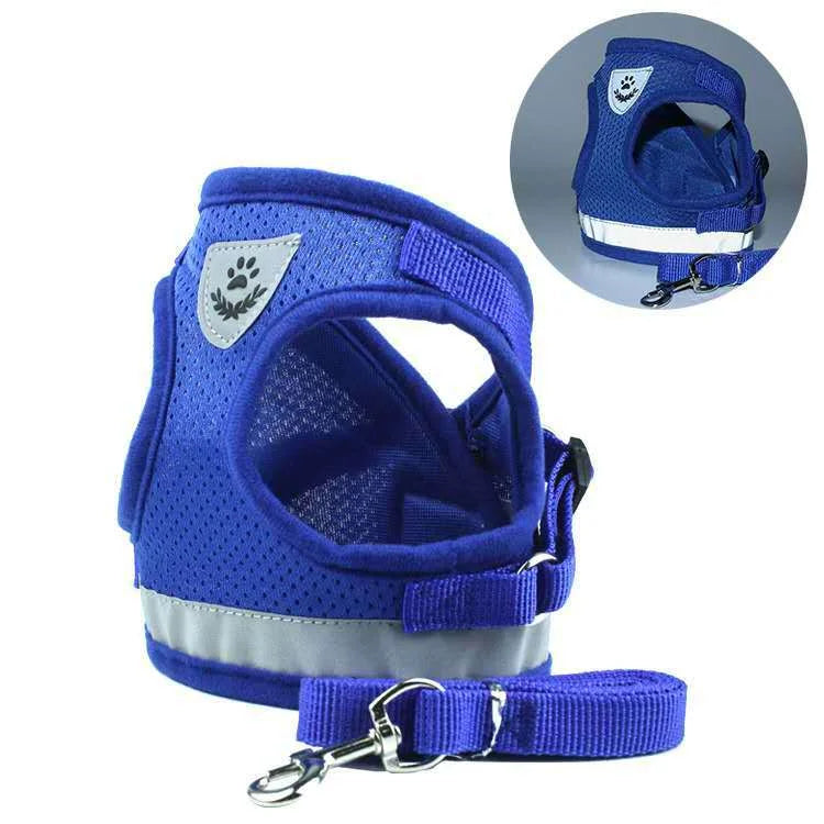 Reflective Vest and Leash