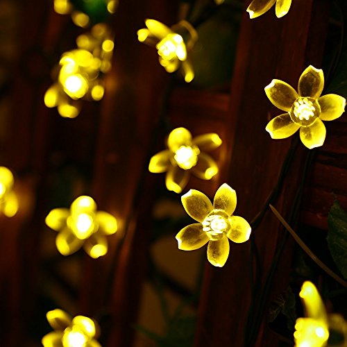 Solar-Powered Blossom Flower String Lights