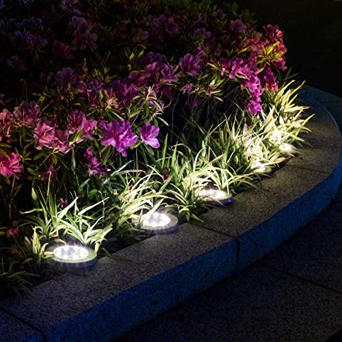 Solar-Powered LED Ground Light