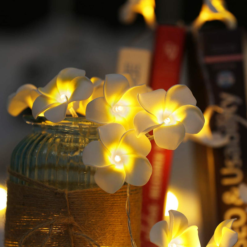 Plumeria Flower Fairy Light