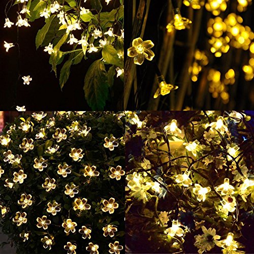 Solar-Powered Blossom Flower String Lights