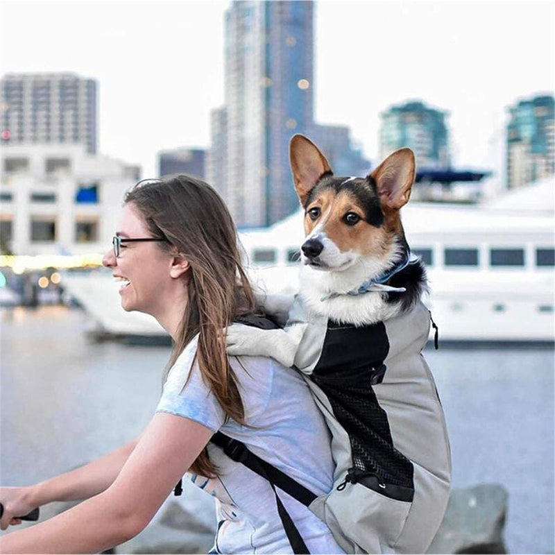 Dog Carrier Backpack Hiking Or Travel