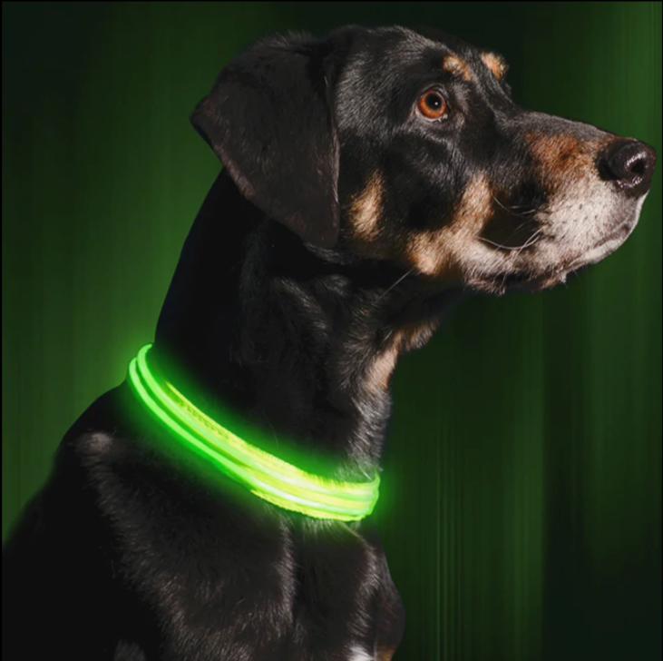 Rechargeable LED Collar For Dog