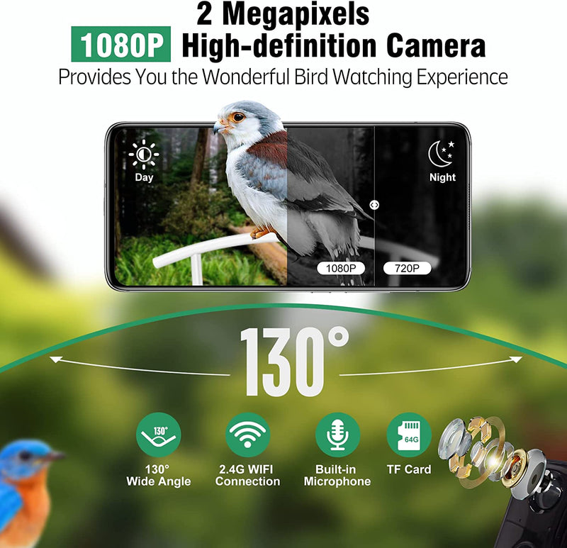 Smart Bird Feeder Camera - 1080P HD Camera Auto Capture Bird Videos & Solar Panel
