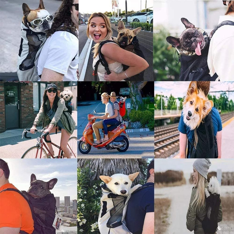 Dog Carrier Backpack Hiking Or Travel