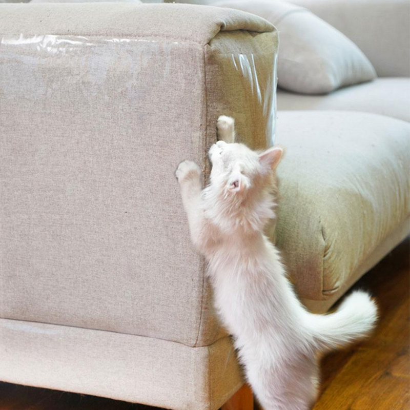 Protects Your Furniture From Cat Scratching