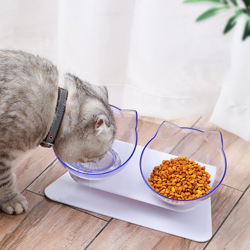 Orthopedic Anti-Vomiting Cat Feeder