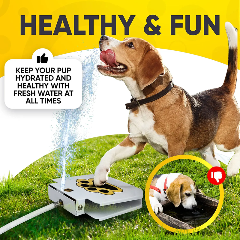 Premium Step On Paw Activated Dog Water Fountain Sprinkler