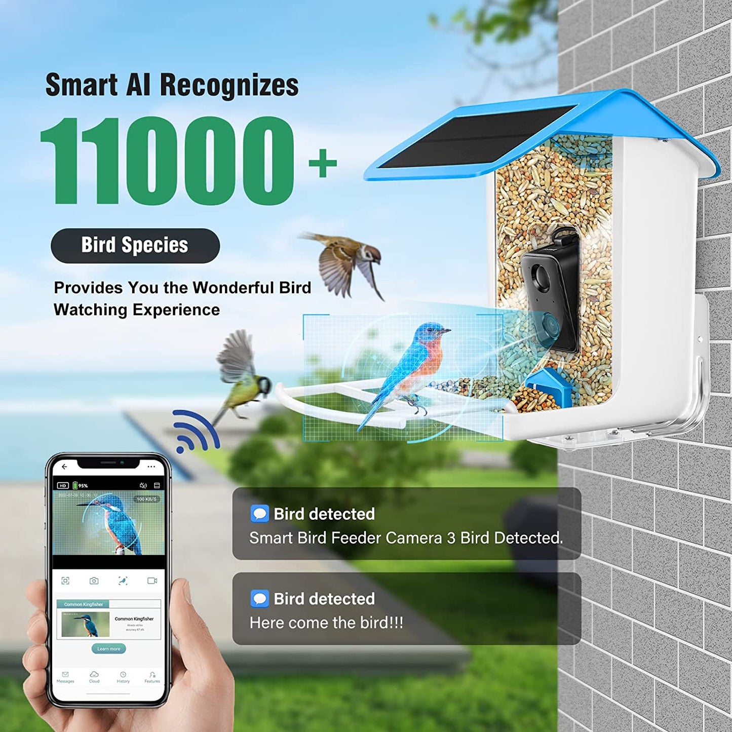 Smart Bird Feeder Camera - 1080P HD Camera Auto Capture Bird Videos & Solar Panel