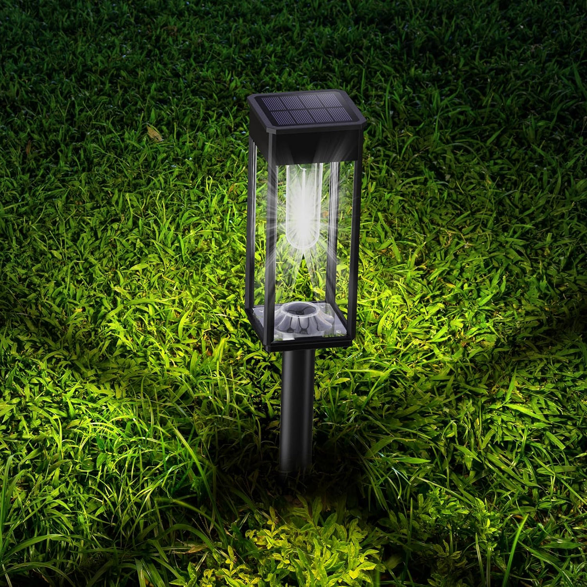 Garden Pathway Lights: Solar Path Lights for Walkways and Gardens