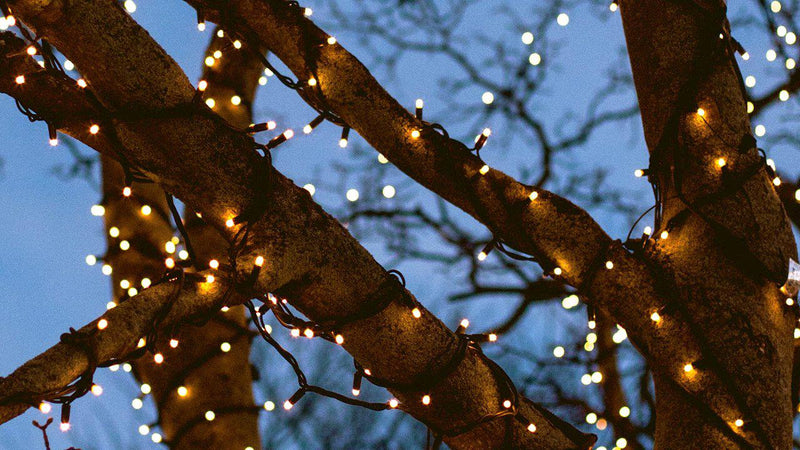 Solar Powered String Fairy Lights