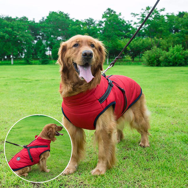 🔥 Waterproof Furry Jacket for Dogs of All Sizes