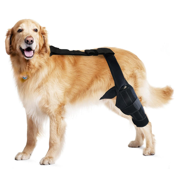 Dog Recovery Knee Brace Support