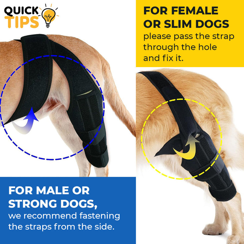 Dog Recovery Knee Brace Support