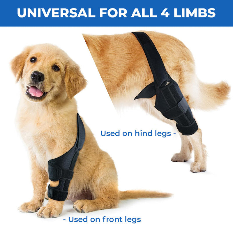 Dog Recovery Knee Brace Support