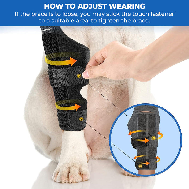 Dog Recovery Knee Brace Support