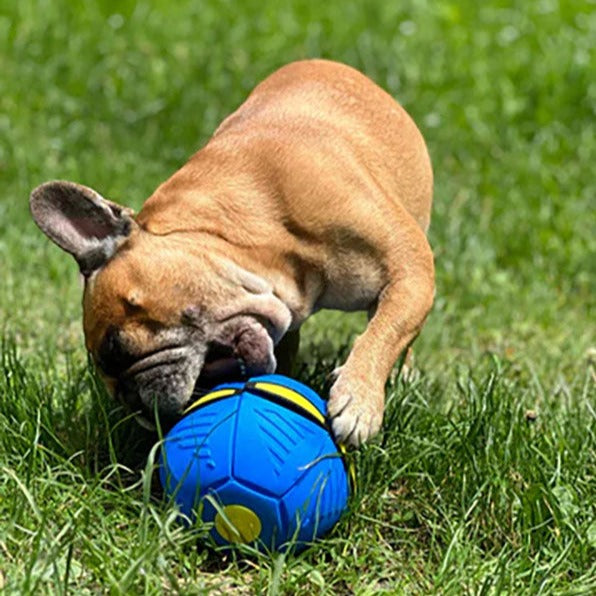 The Flying Saucer Ball