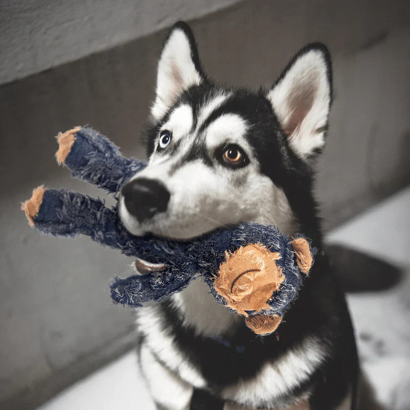 Extreme Bear - Dog Companion For Heavy Chewers