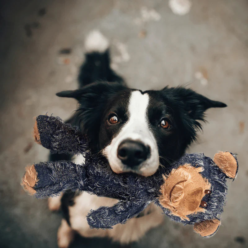 Extreme Bear - Dog Companion For Heavy Chewers