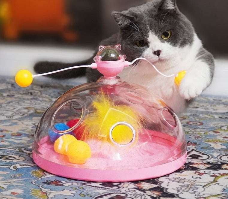 Cat Windmill Interactive Multifunctional Catnip Toy