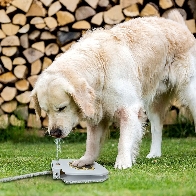 Premium Step On Paw Activated Dog Water Fountain Sprinkler