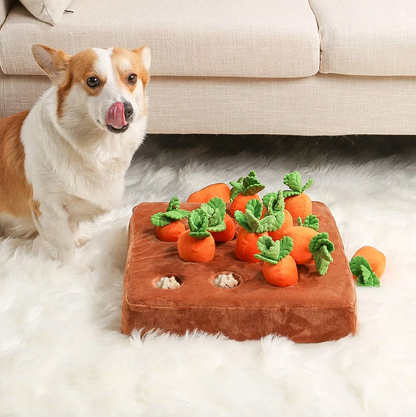 Carrot Farm Toys for Pet