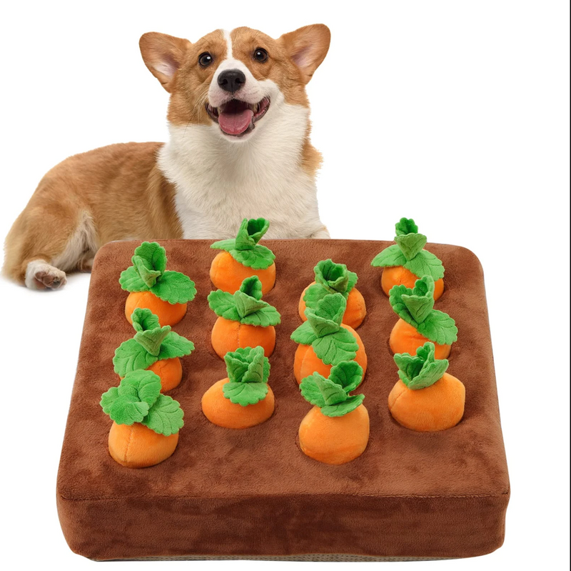 Carrot Farm Toys for Pet