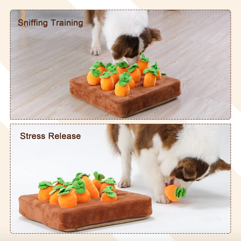 Carrot Farm Toys for Pet