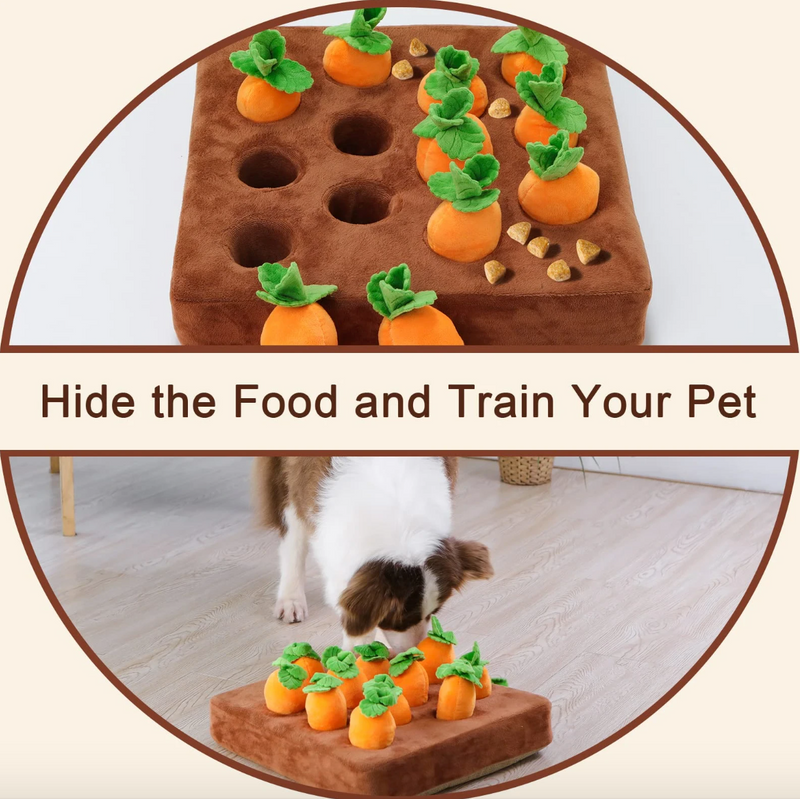 Carrot Farm Toys for Pet