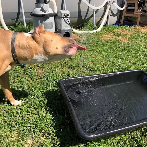 Solar Water Fountain Pump for Bird Bath with 6 Nozzles