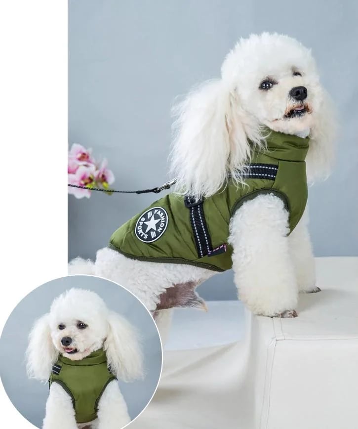 🔥 Waterproof Furry Jacket for Dogs of All Sizes