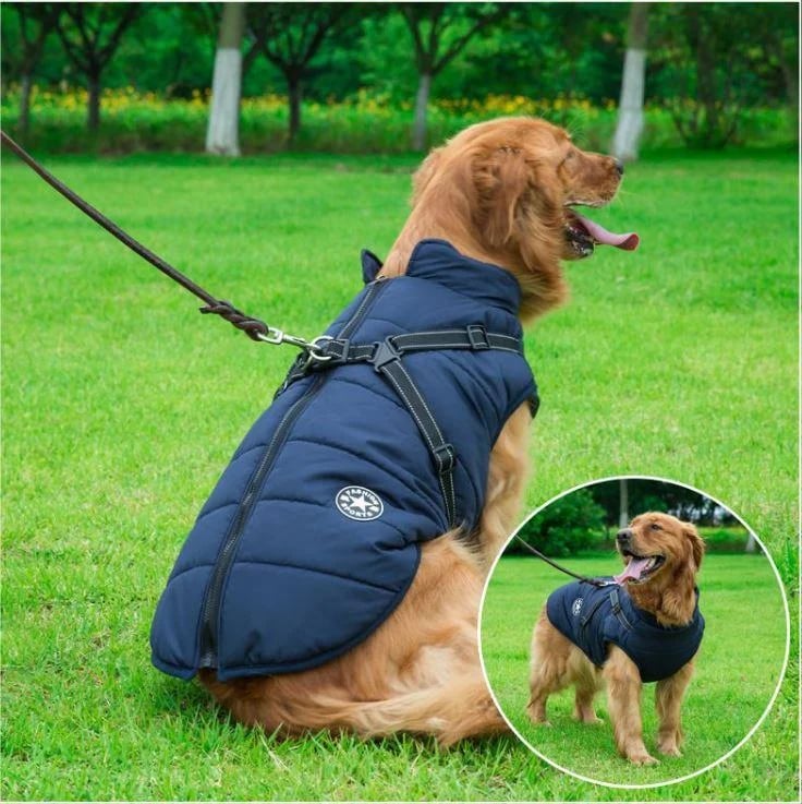 🔥 Waterproof Furry Jacket for Dogs of All Sizes