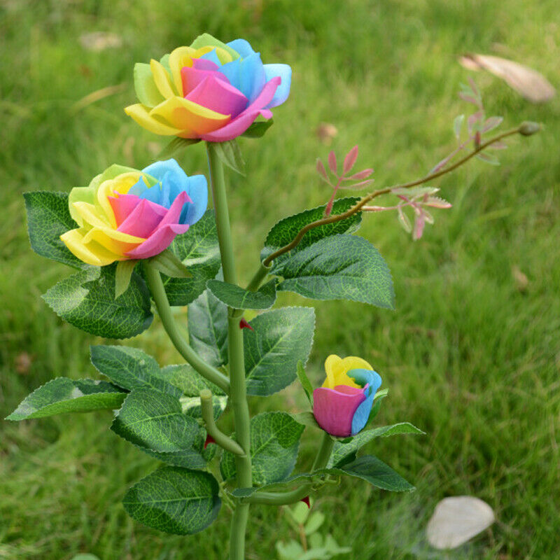 Solar Powered LED Rose Light